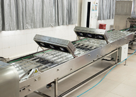 Automatic Marshalling Cooling Conveyor Machine ปรับความเร็วได้